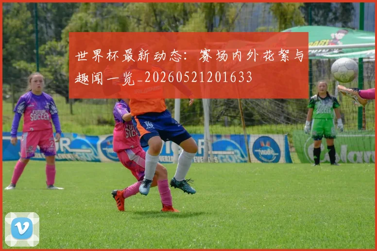 世界杯最新动态：赛场内外花絮与趣闻一览_20260521201633