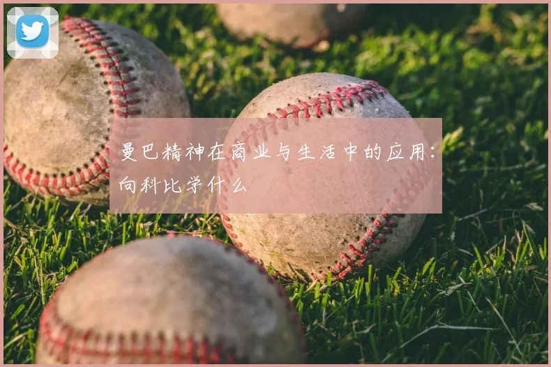 曼巴精神在商业与生活中的应用：向科比学什么
