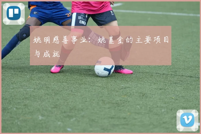 姚明慈善事业：姚基金的主要项目与成就
